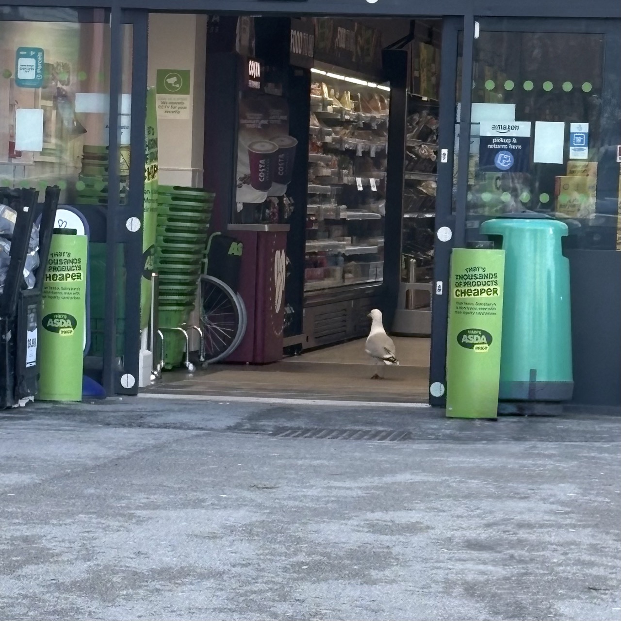 The Shoplifter